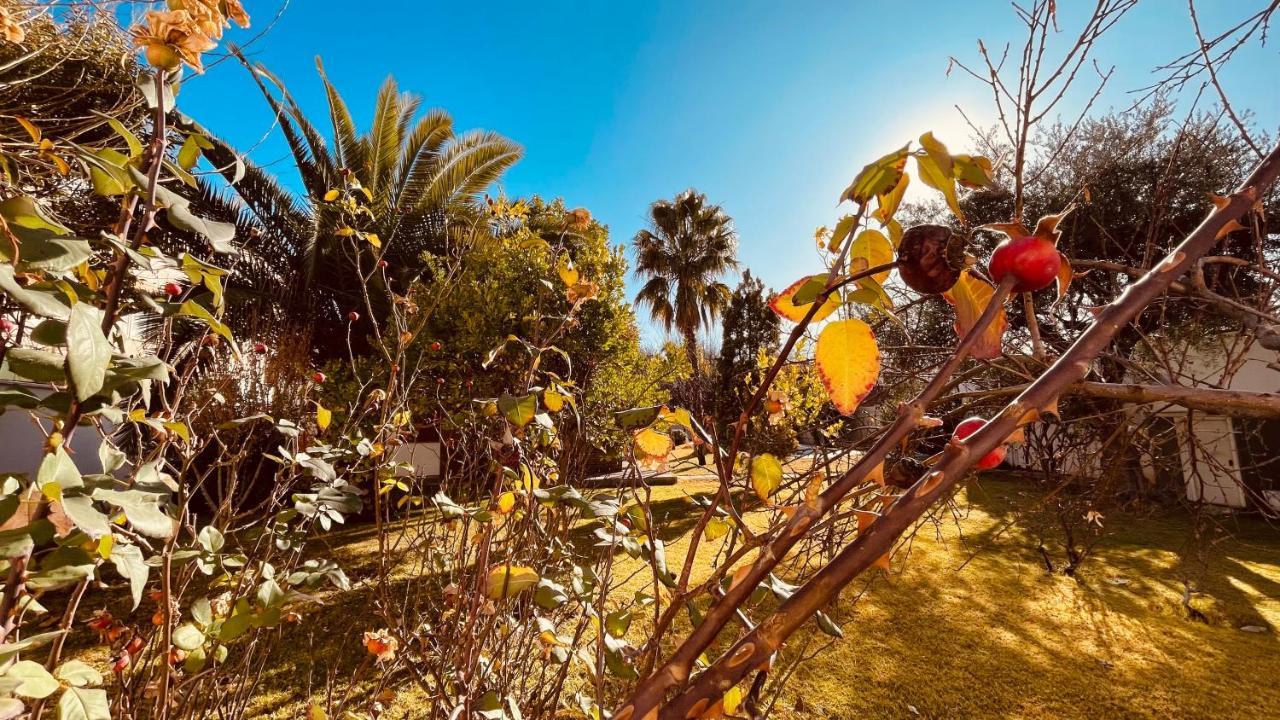 Blue Sky Mendoza Bed and Breakfast Exterior foto